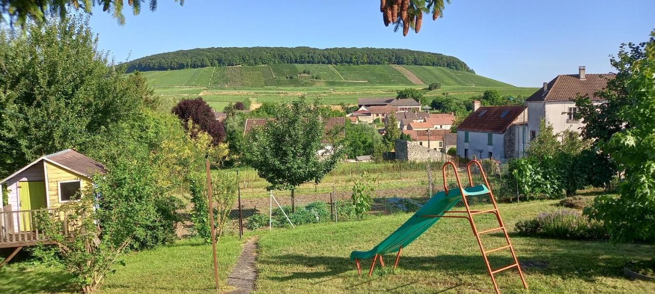 Gîte du bel air Festigny  Extérieur photo